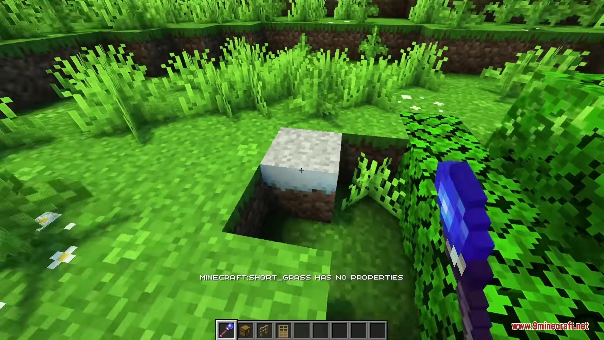 Player uses a magical debug stick to check properties of a grass block