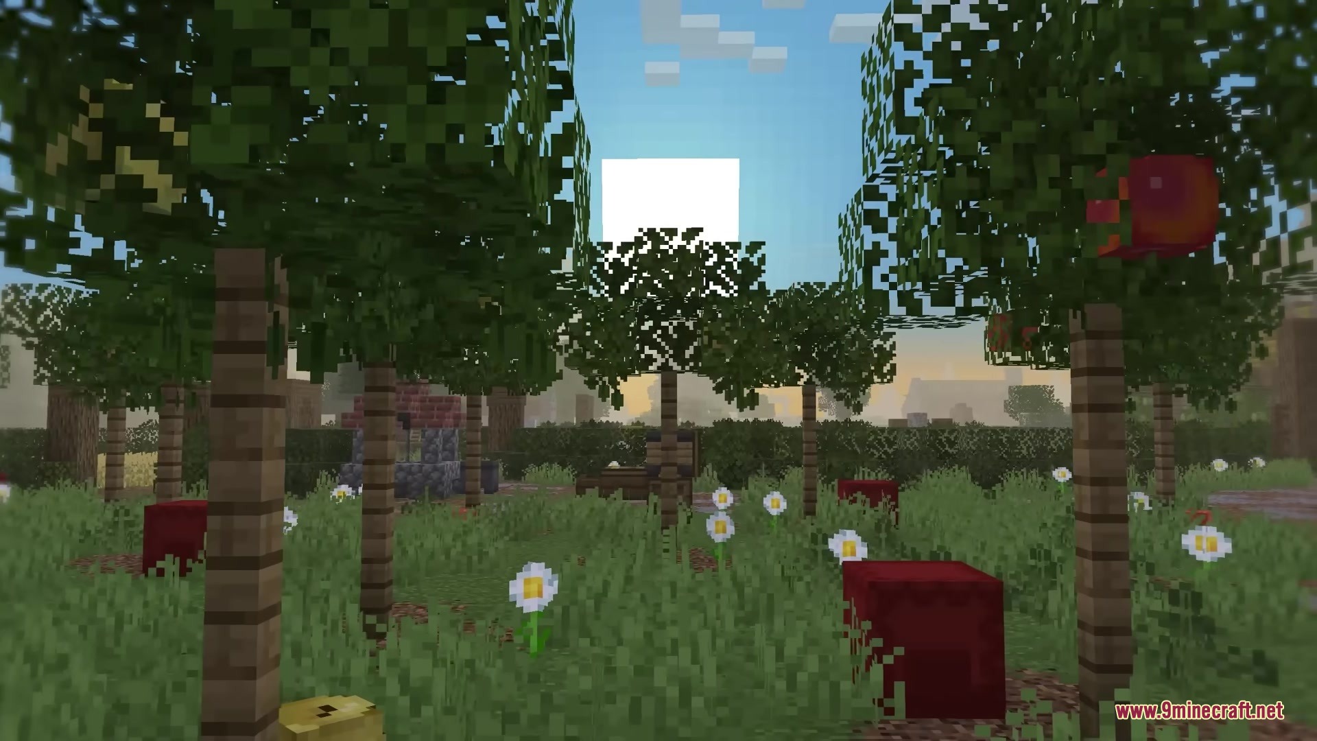 Mc Alive Leaves Resource Pack Screenshot 12 Sunlight shines through moving tree leaves in a peaceful Minecraft forest clearing