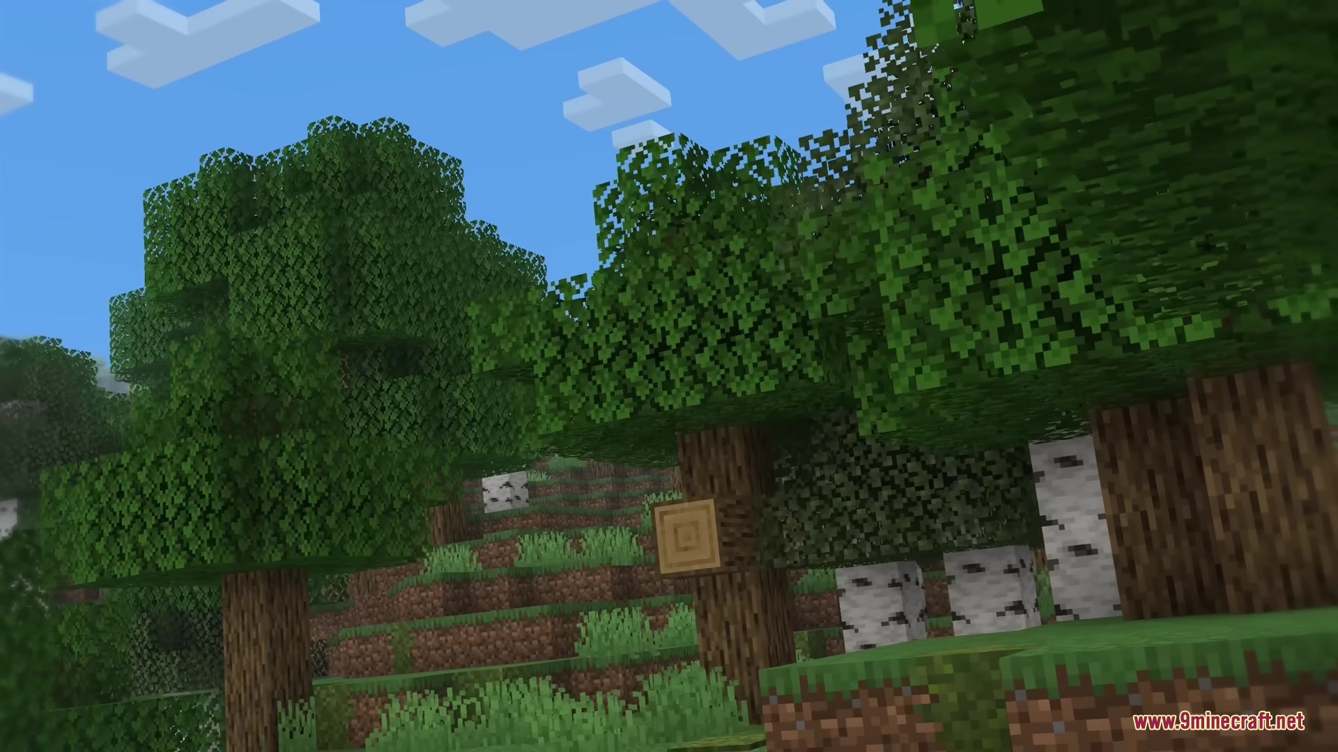 Mc Alive Leaves Resource Pack Screenshot 2 Bushy green leaves on oak and birch trees under a blue sky
