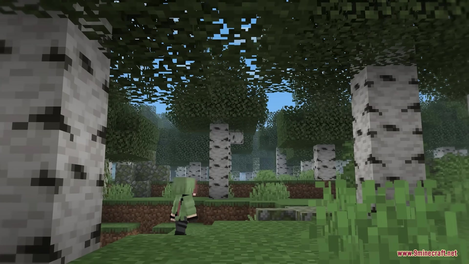 Mc Alive Leaves Resource Pack Screenshot 4 Player character walking through a birch forest with bushy leaves on a sunny day