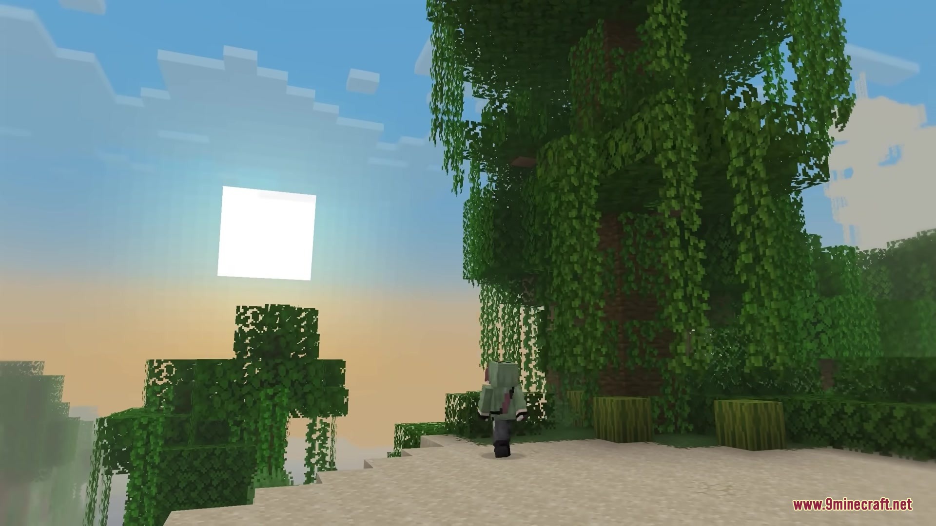Mc Alive Leaves Resource Pack Screenshot 7 A player stands near a jungle tree with swaying leaves at sunset