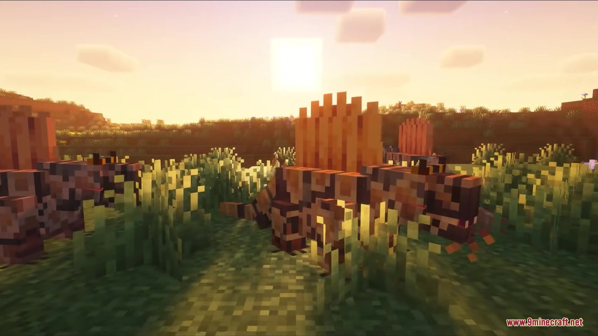 A group of Dimetrodon mobs wandering through a field at sunset