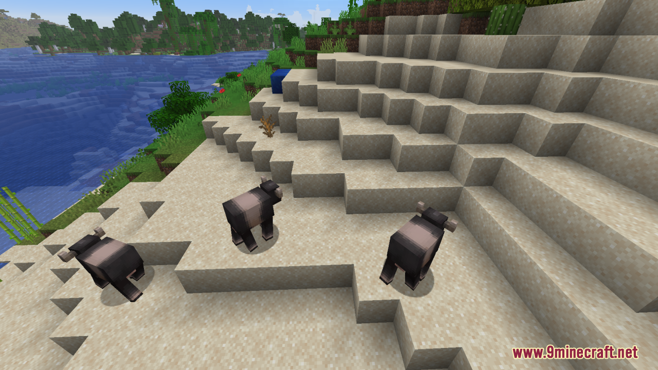Mizuno's Cow Variants Resource Pack Screenshot 7 Three dark buffalo variants standing on a sandy beach near the water