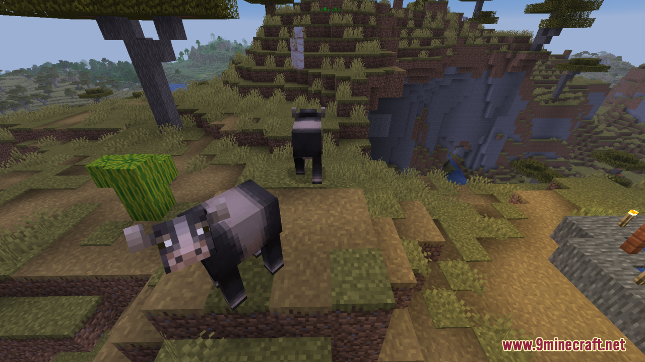 Mizuno's Cow Variants Resource Pack Screenshot 8 Dark cow variants wandering through a savanna biome with a llama nearby