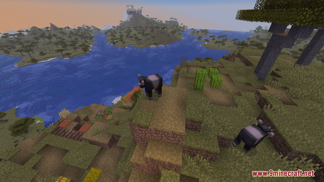 Mizuno's Cow Variants Resource Pack Screenshot 9 Two black and white cows standing on a cliff overlooking a wide river