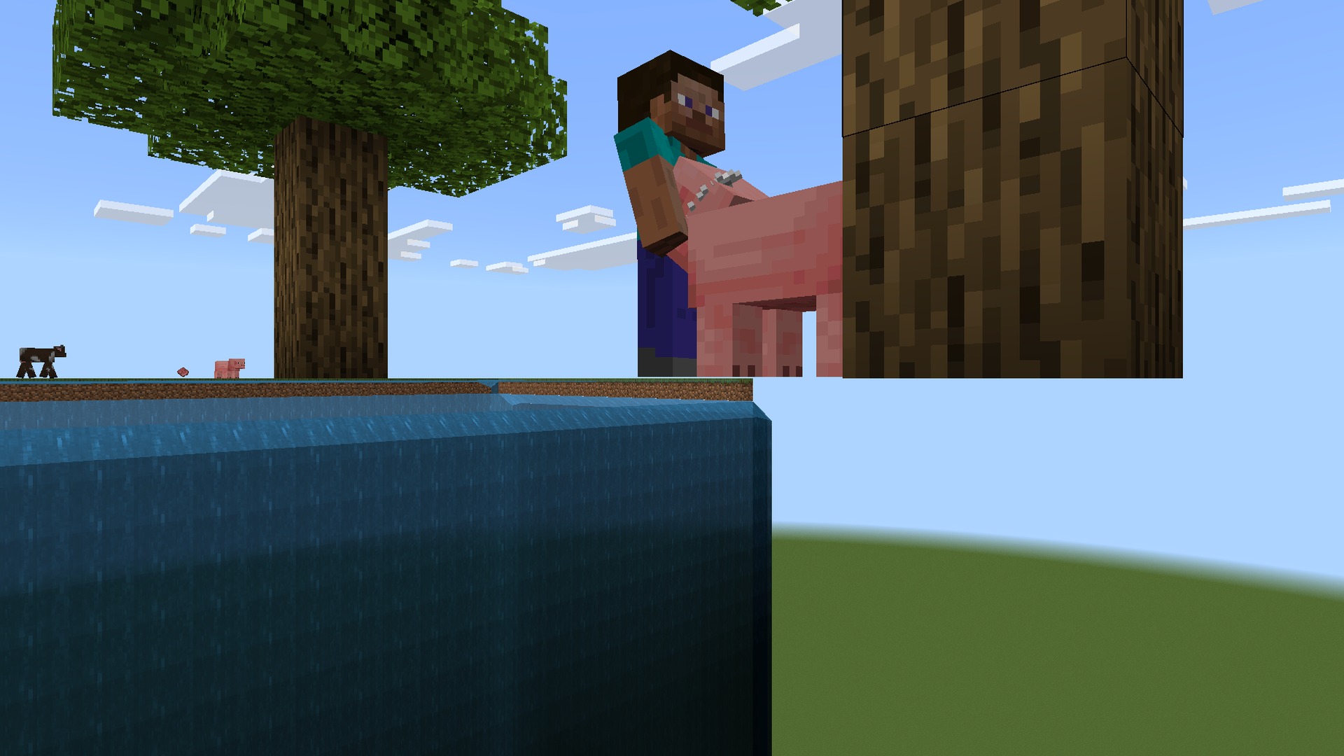 More Body Actions Pickup Carry Screenshot 1 Picking up and carrying a pig in your arms