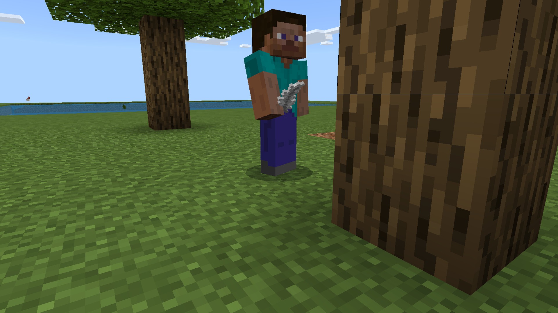 More Body Actions Pickup Carry Screenshot 4 Holding a chicken while you explore