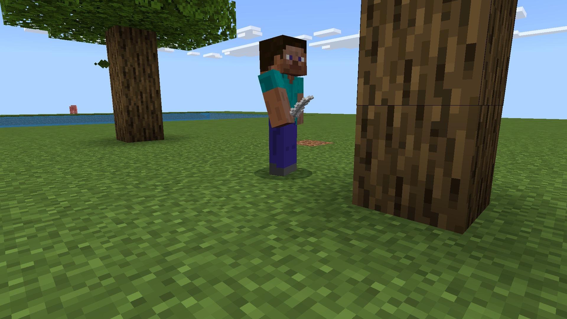 More Body Actions Pickup Carry Screenshot 5 Carrying a sheep across the field