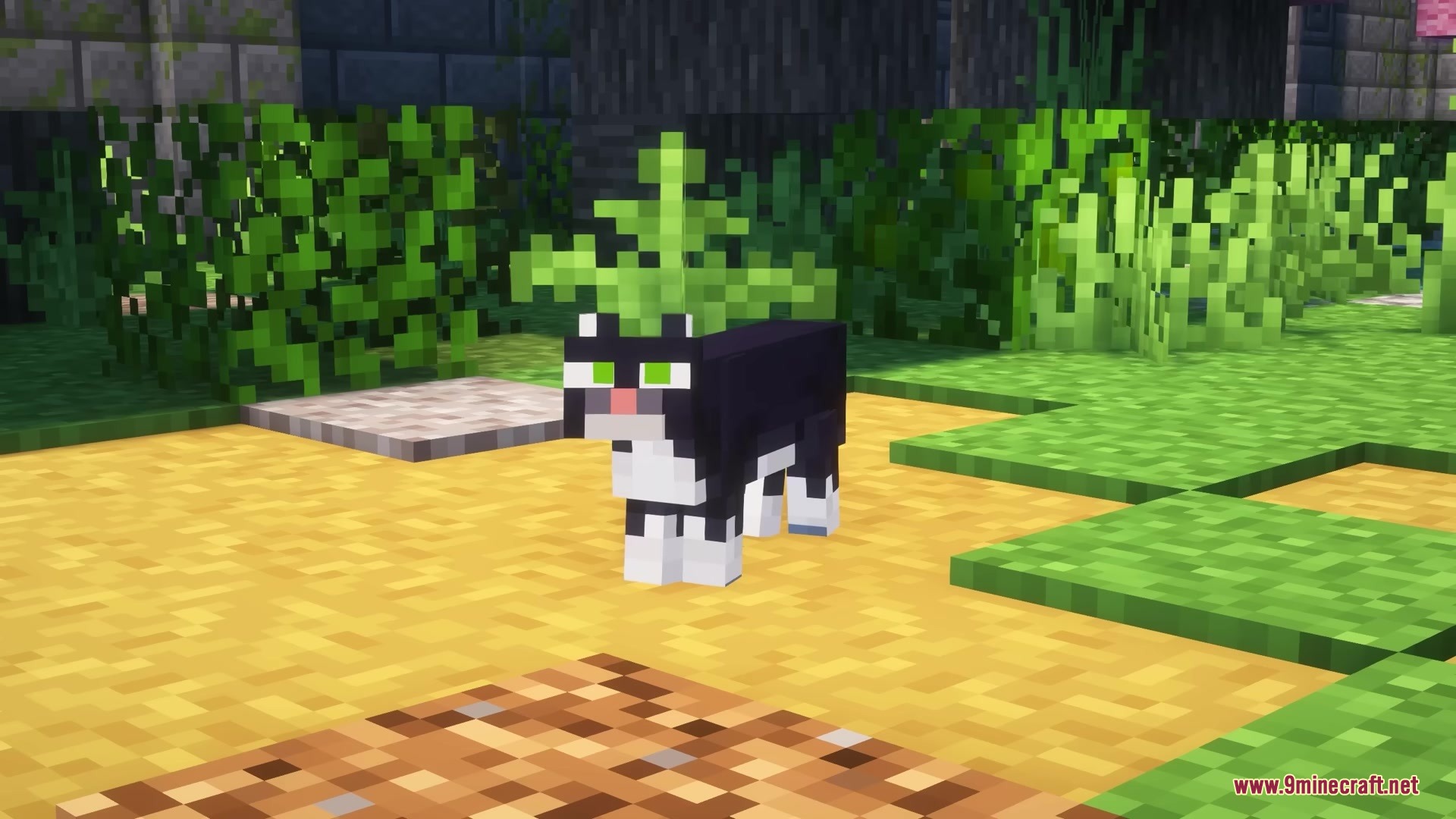 Morphling Mod Screenshot 6 A black and white tuxedo cat stands on a sandy path near bushes