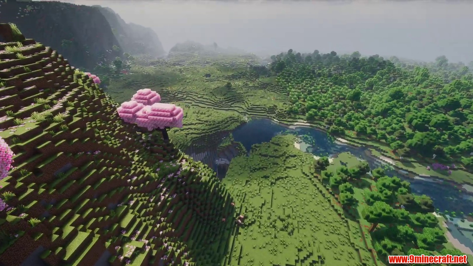 Sakura Seed in Minecraft seed -8573460825349808061