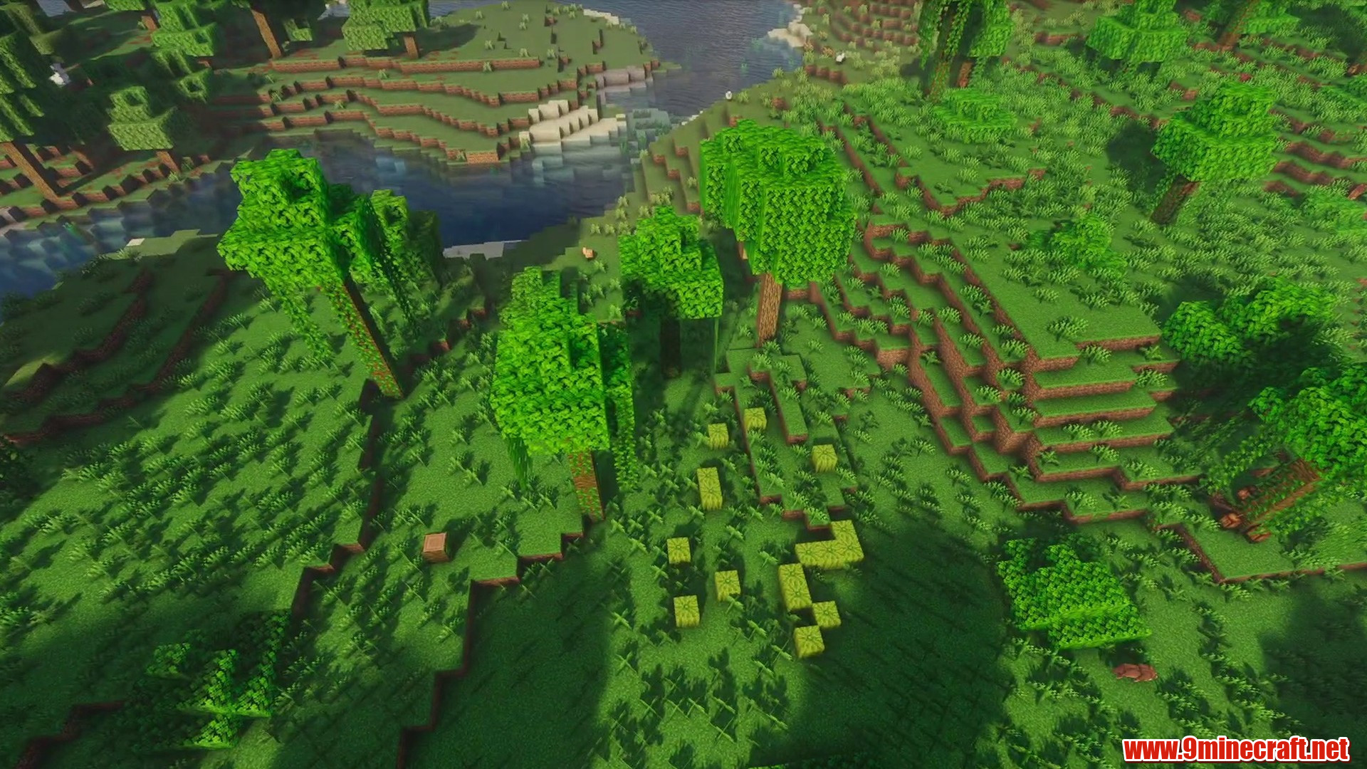 Jungle Cavern Seed in Minecraft seed 5360099987208388078