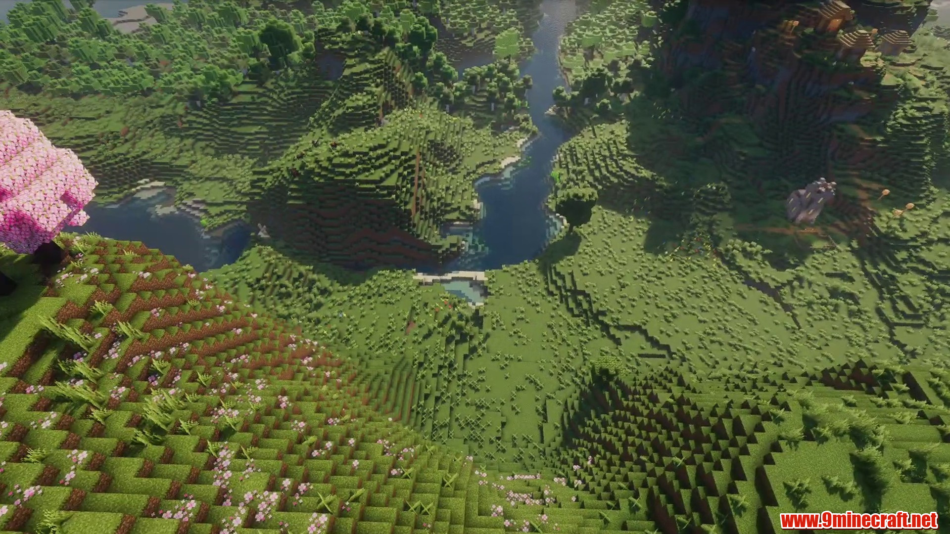Flat Sakura Biome Seed in Minecraft seed -3202119244909789315