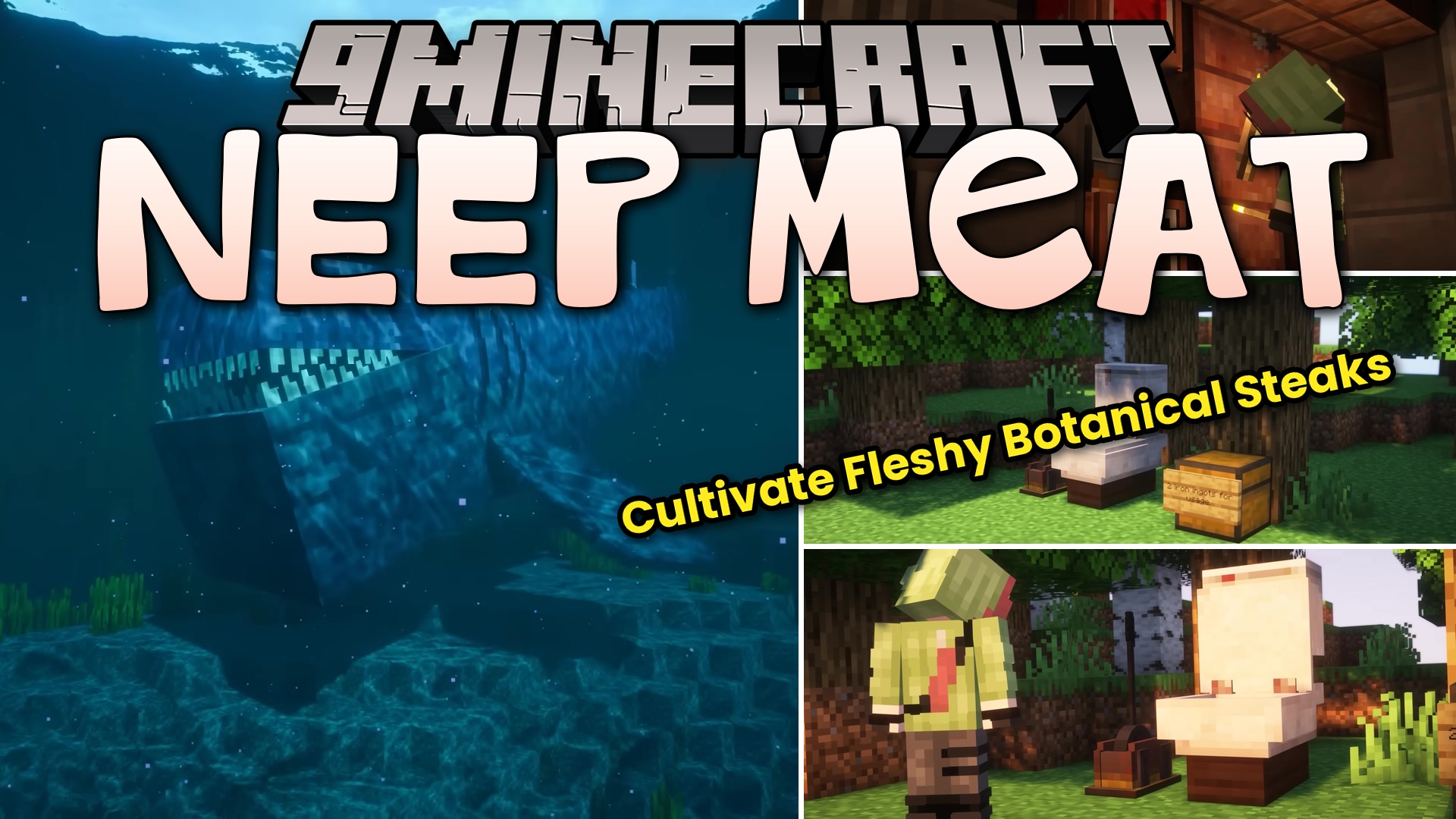 NEEP Meat Mod