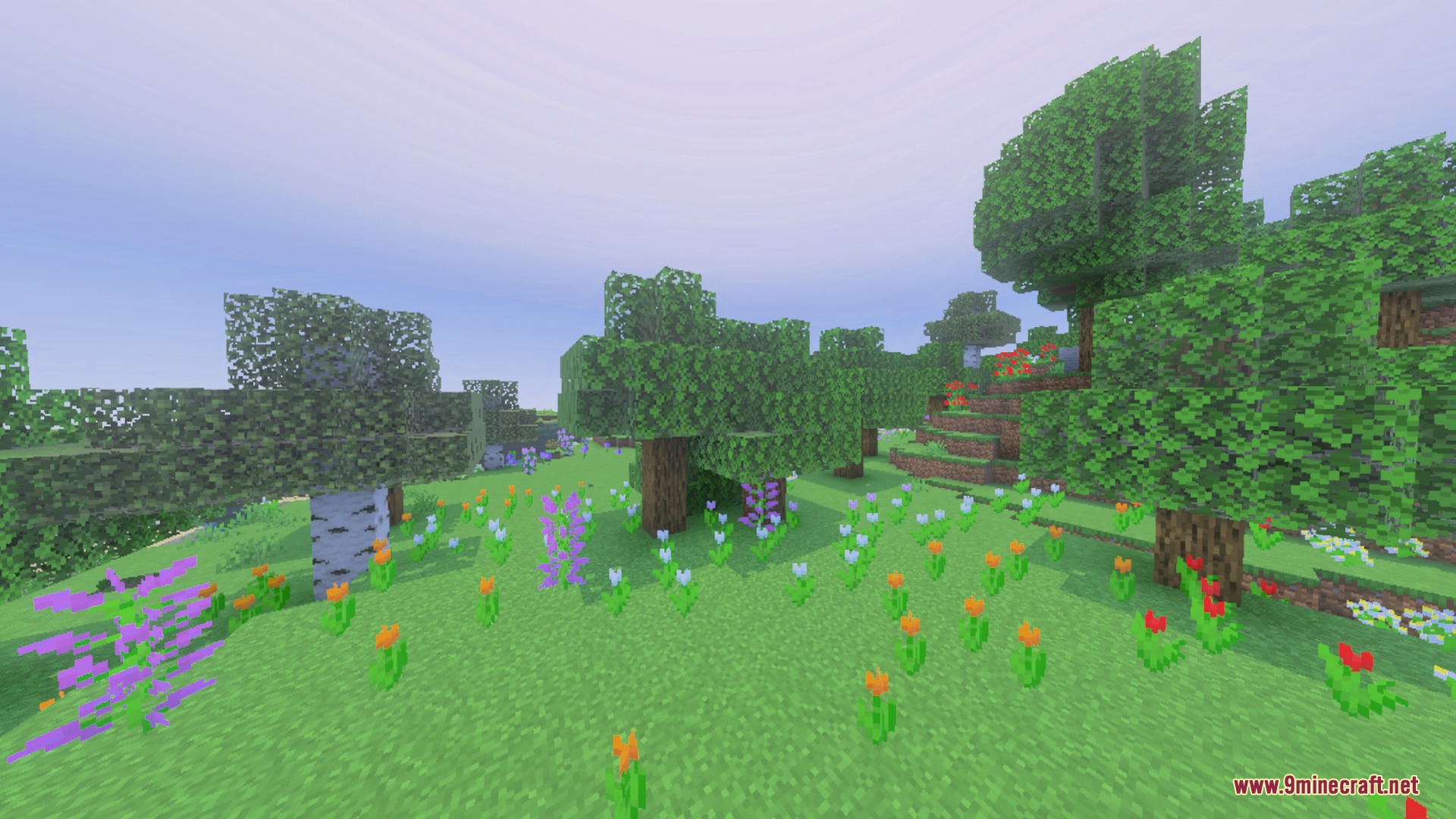 Newb Complementary Shader Screenshot 2