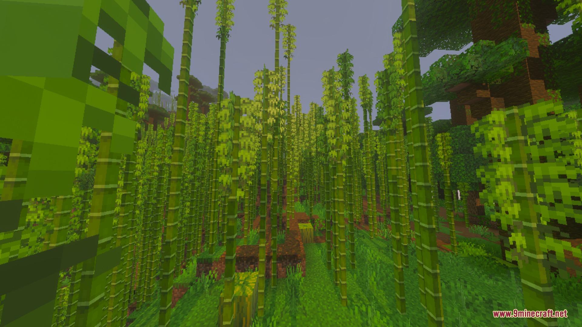 Newb Complementary Shader Screenshot 4