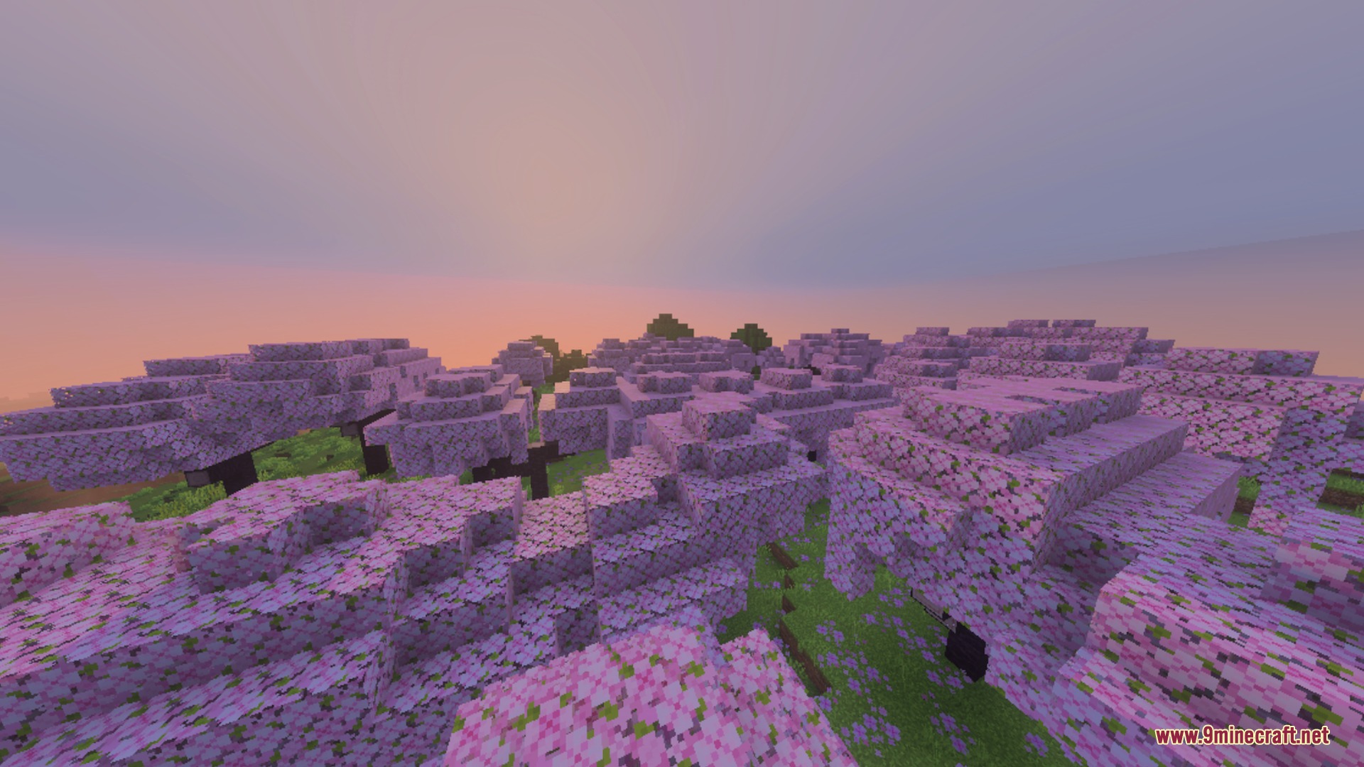 Newb Complementary Shader Screenshot 6