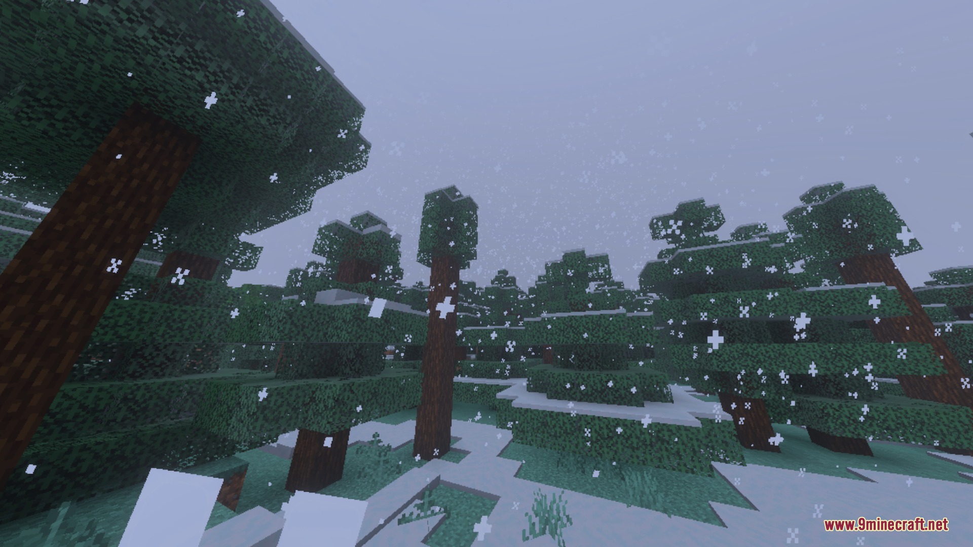 Newb Complementary Shader Screenshot 7
