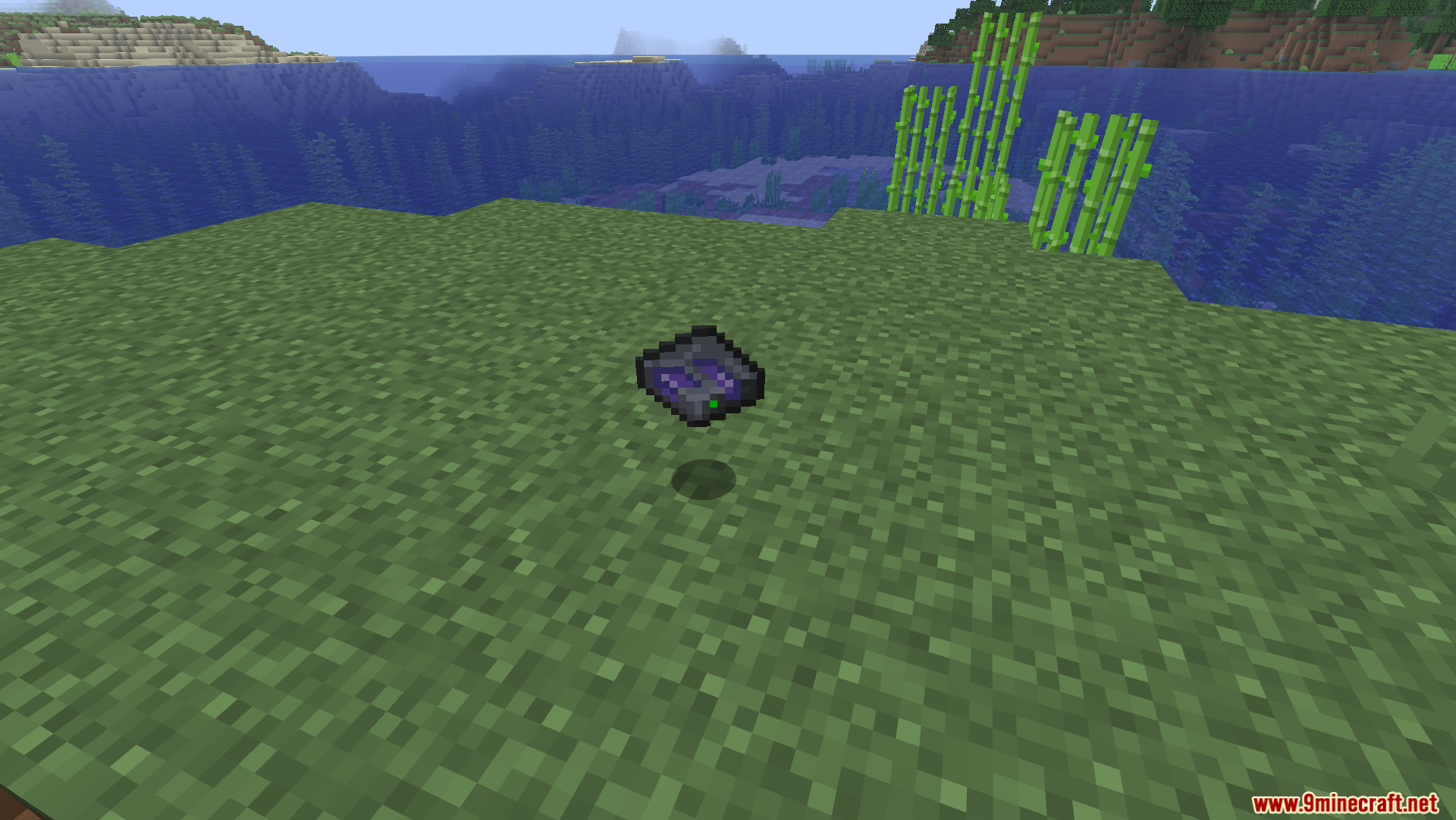 A single storage cell floating on the grass near a large ocean biome
