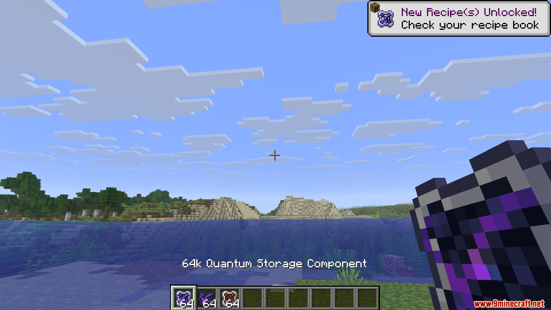 Player holding a 64k Quantum Storage Component from the Omni Cells Mod