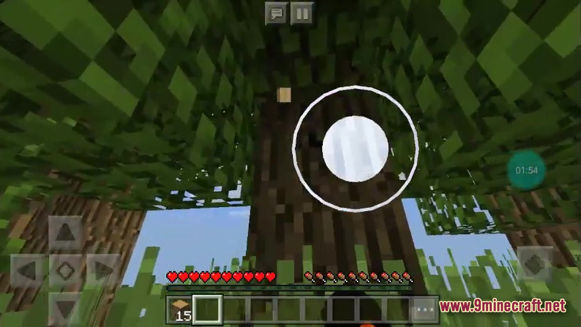 Onechunk Survival Map Screenshot 2