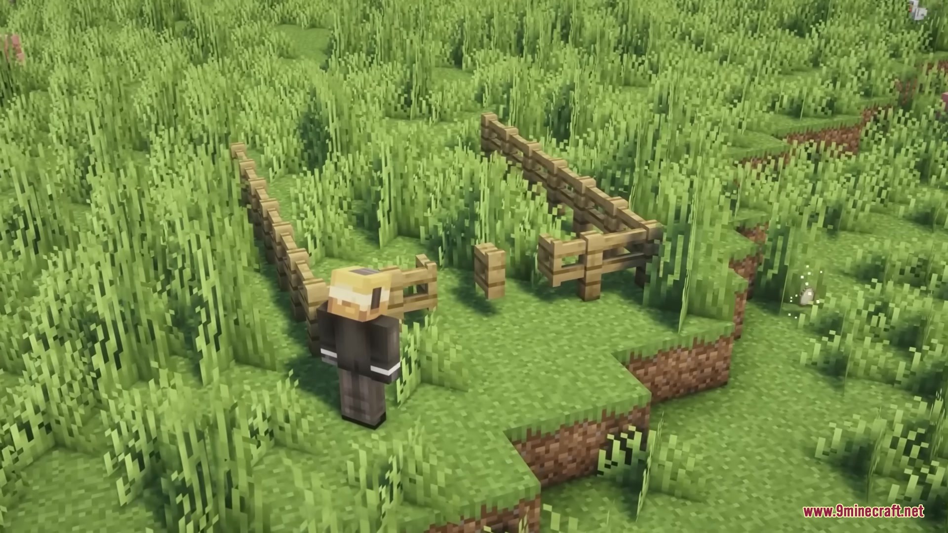 Open Together Mod Screenshot 5 A player character standing next to a pair of open wooden fence gates