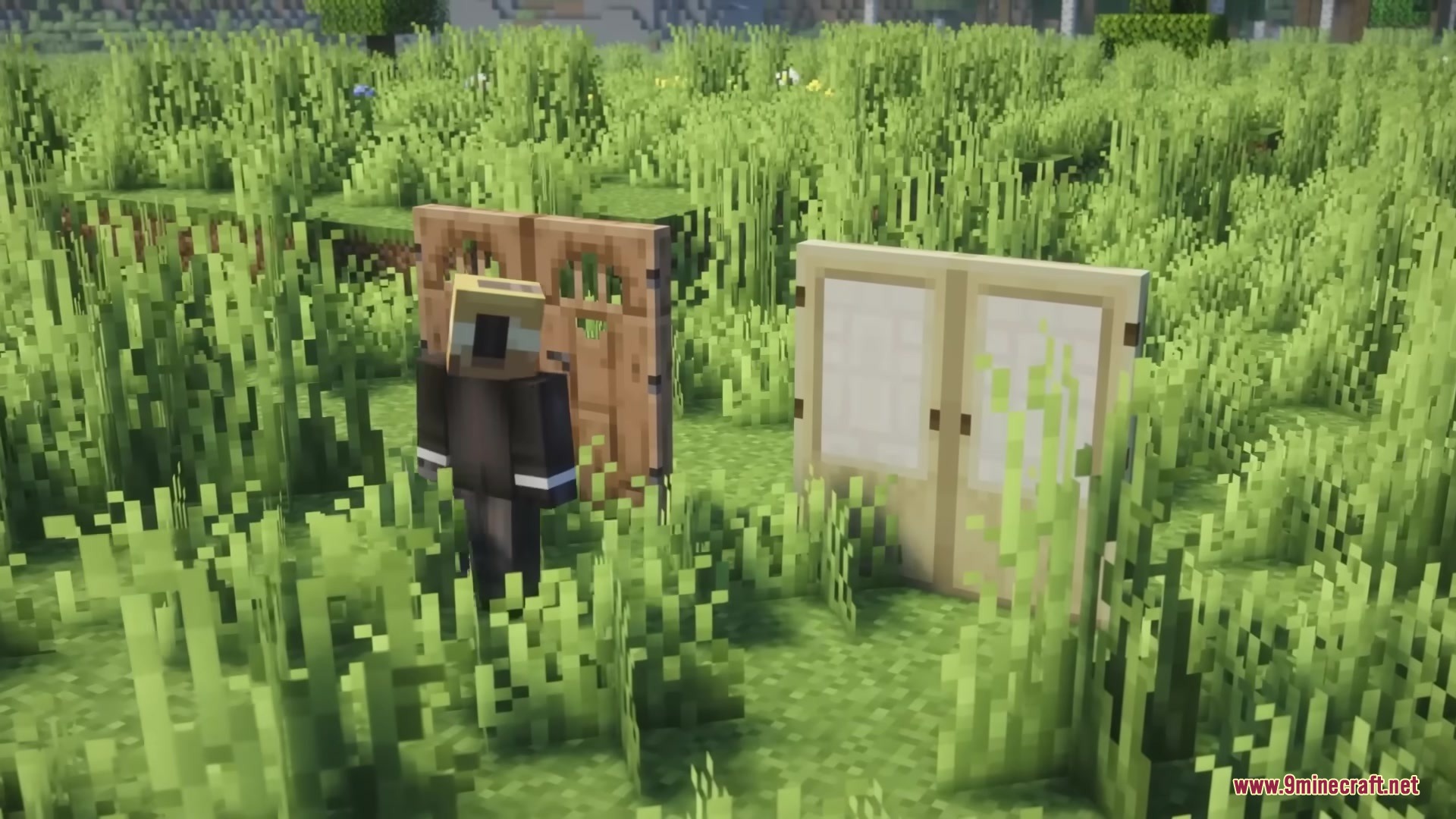 Open Together Mod Screenshot 8 Player character standing next to two sets of double doors in a field