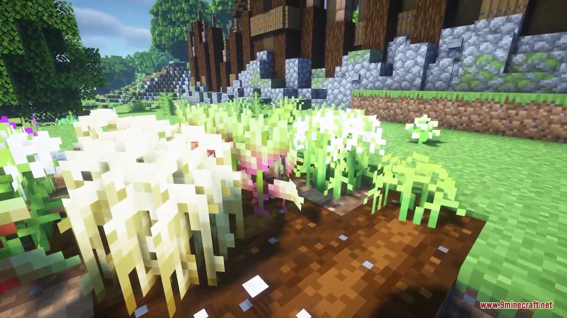 Detailed view of crops with unique textures and rotations in a Minecraft field