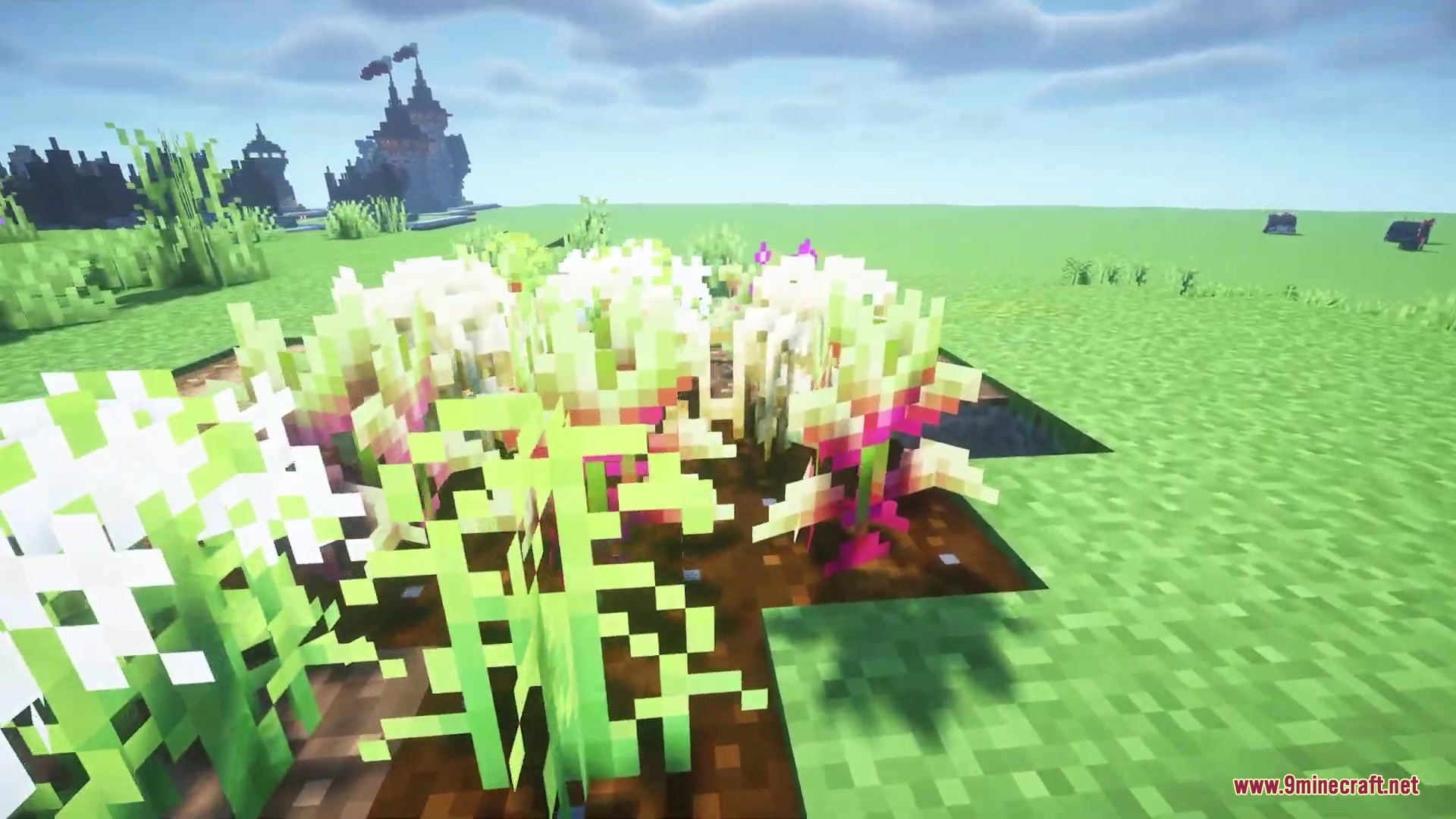 Close up of crops at different growth stages in a Minecraft farm