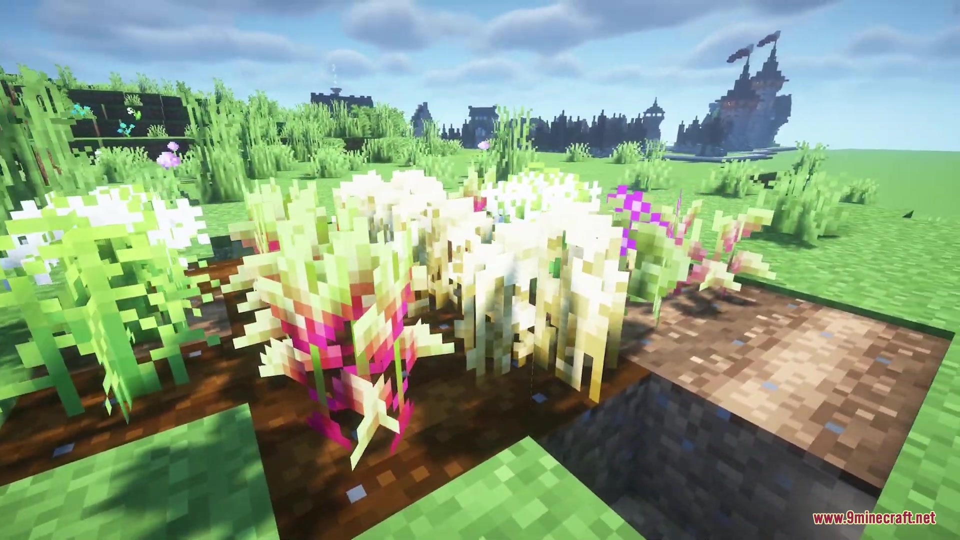 Os Crops Resource Pack adds natural rotations and varied shapes to plants