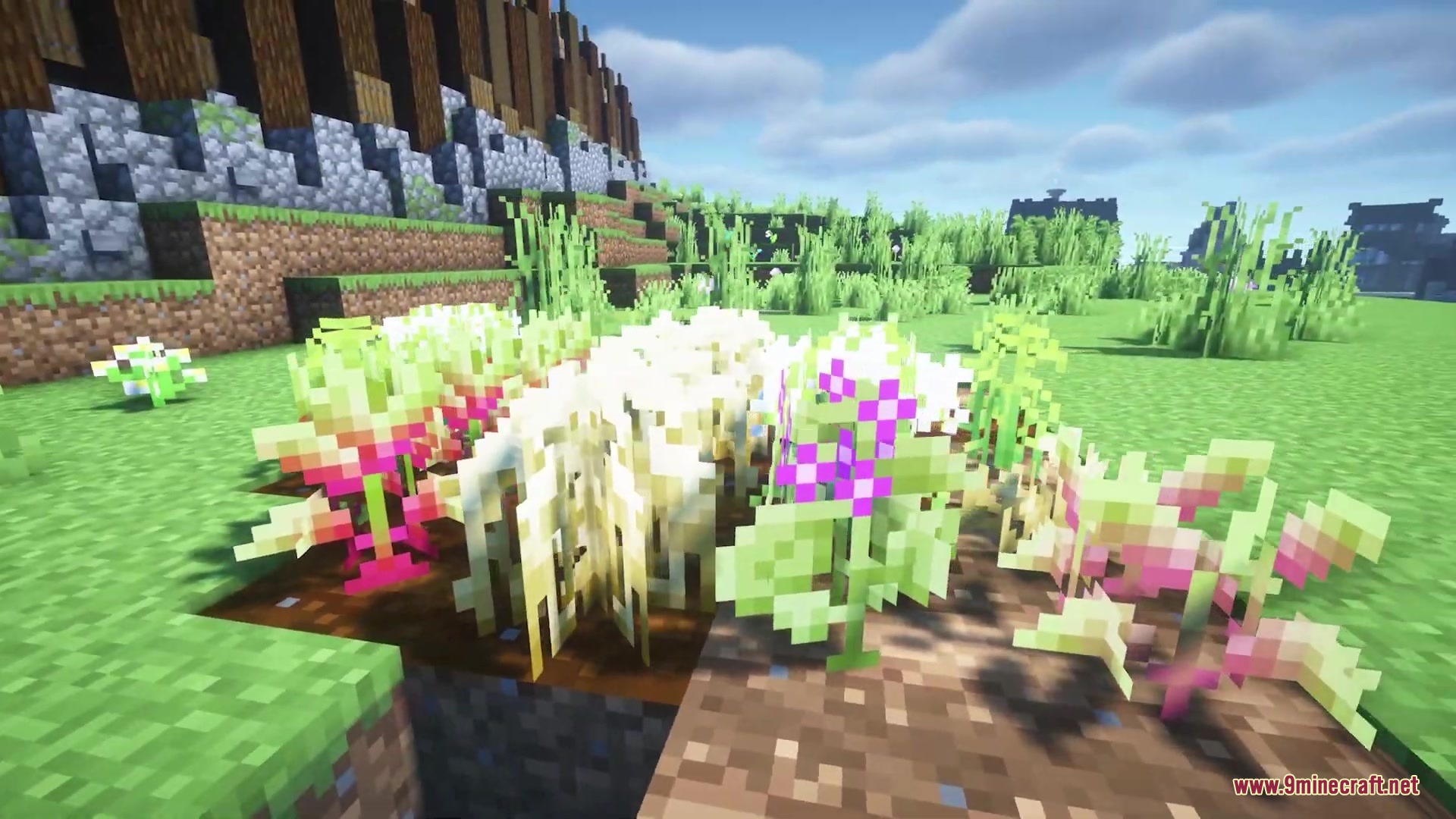 Minecraft crops with unique shapes and natural rotations on tilled soil