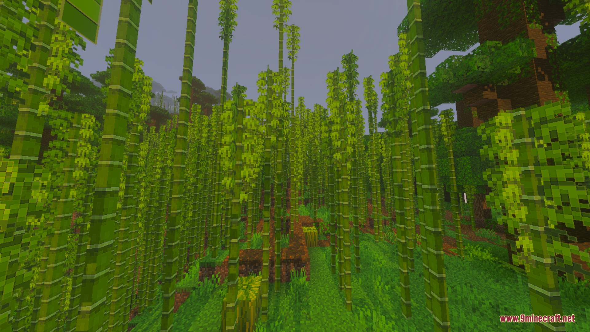 Outline Shader Screenshot 4