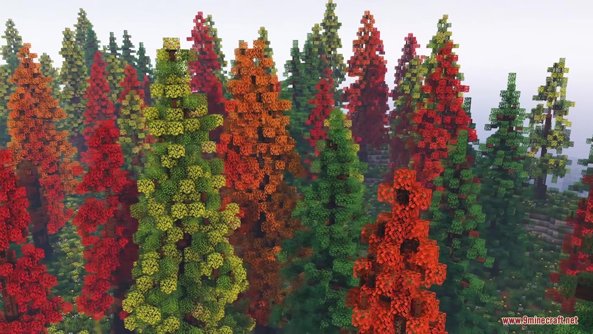 Owange's Autumn Overlay Resource Pack Screenshot 3 A dense forest of tall trees with vibrant red orange and yellow leaves