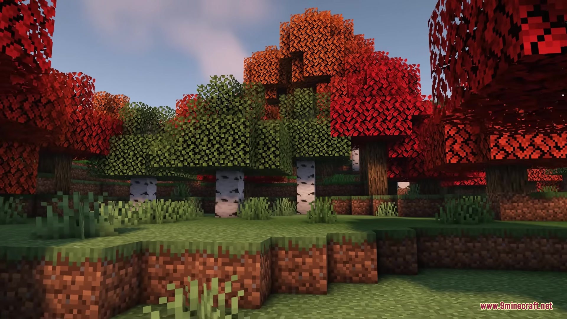 Owange's Autumn Overlay Resource Pack Screenshot 4 Birch and oak trees displaying warm autumn colors in a grassy landscape