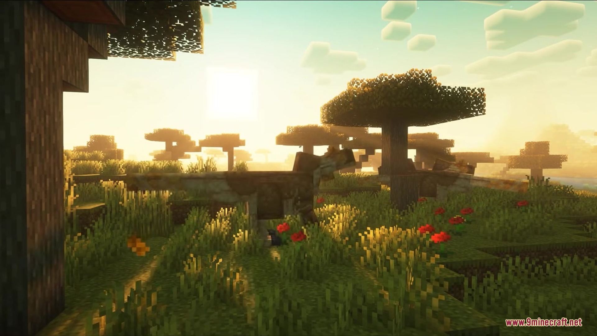 Paleo Ages Mod Screenshot 2 Two dinosaurs roam a grassy savanna biome during a beautiful golden sunset