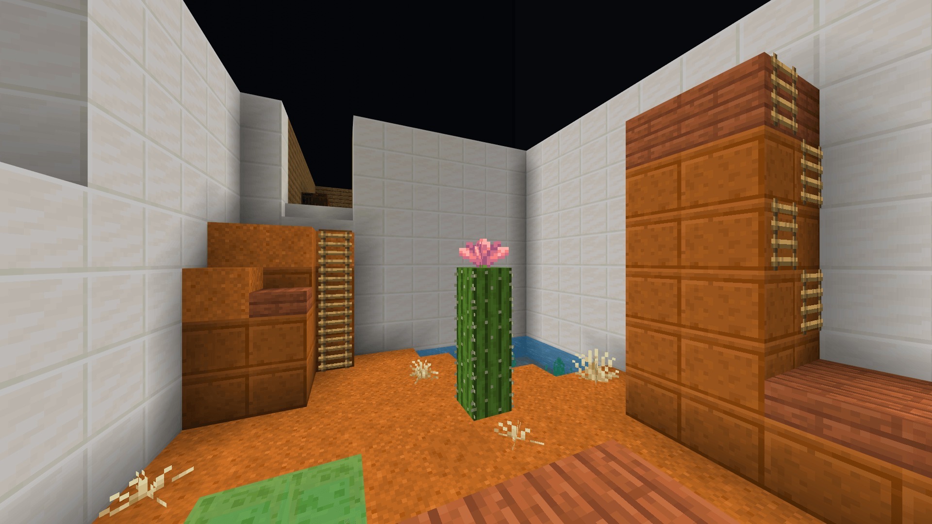 Desert themed parkour level with red sand a flowering cactus and ladders