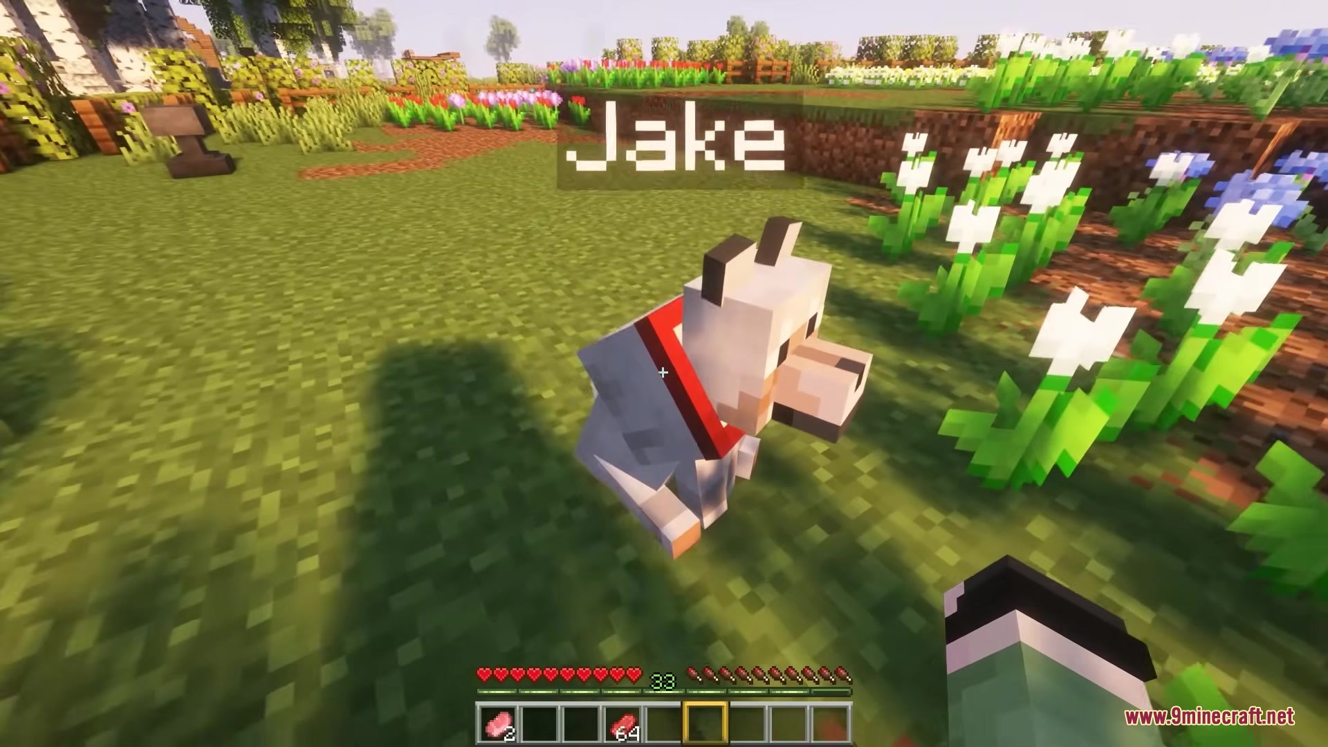 The wolf named Jake sits on the grass near a patch of flowers