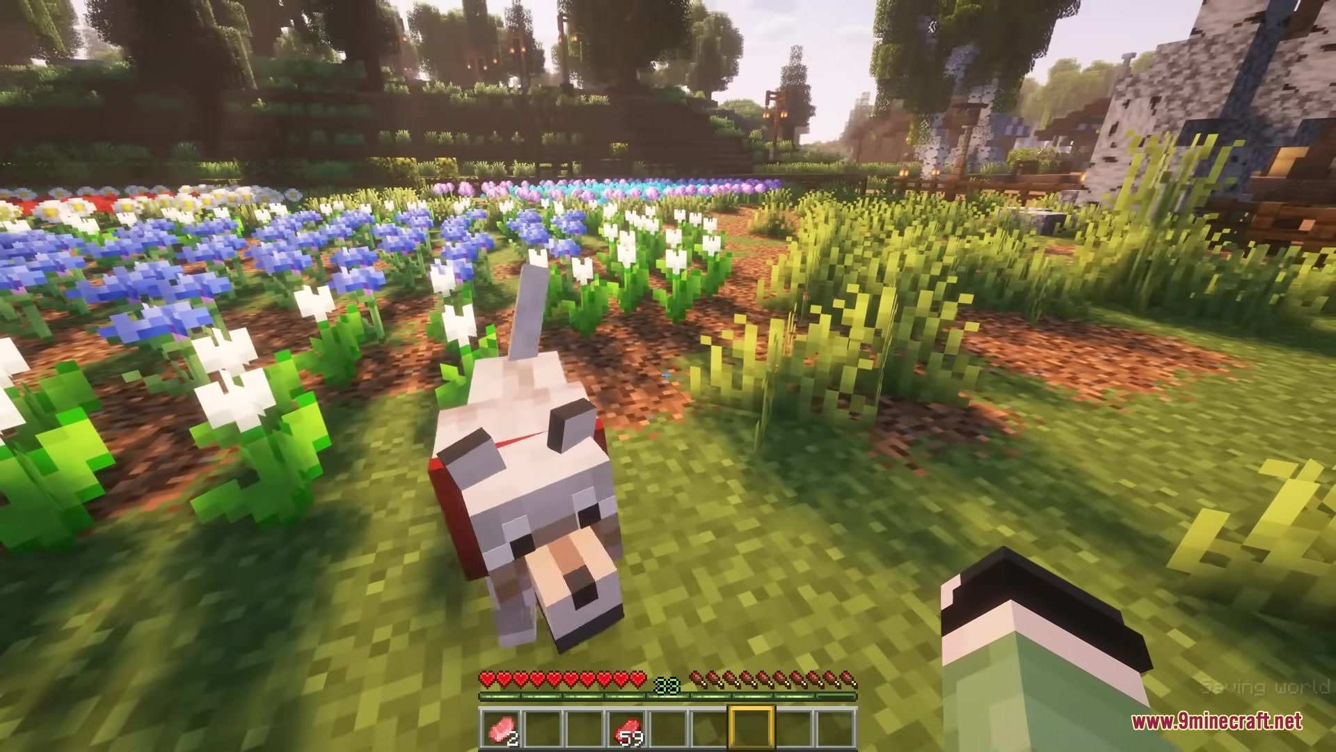 A tamed wolf stands in a vibrant flower field near the player