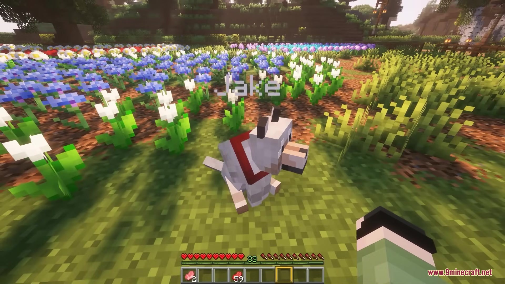 A sitting wolf named Jake waits for orders in a flower field