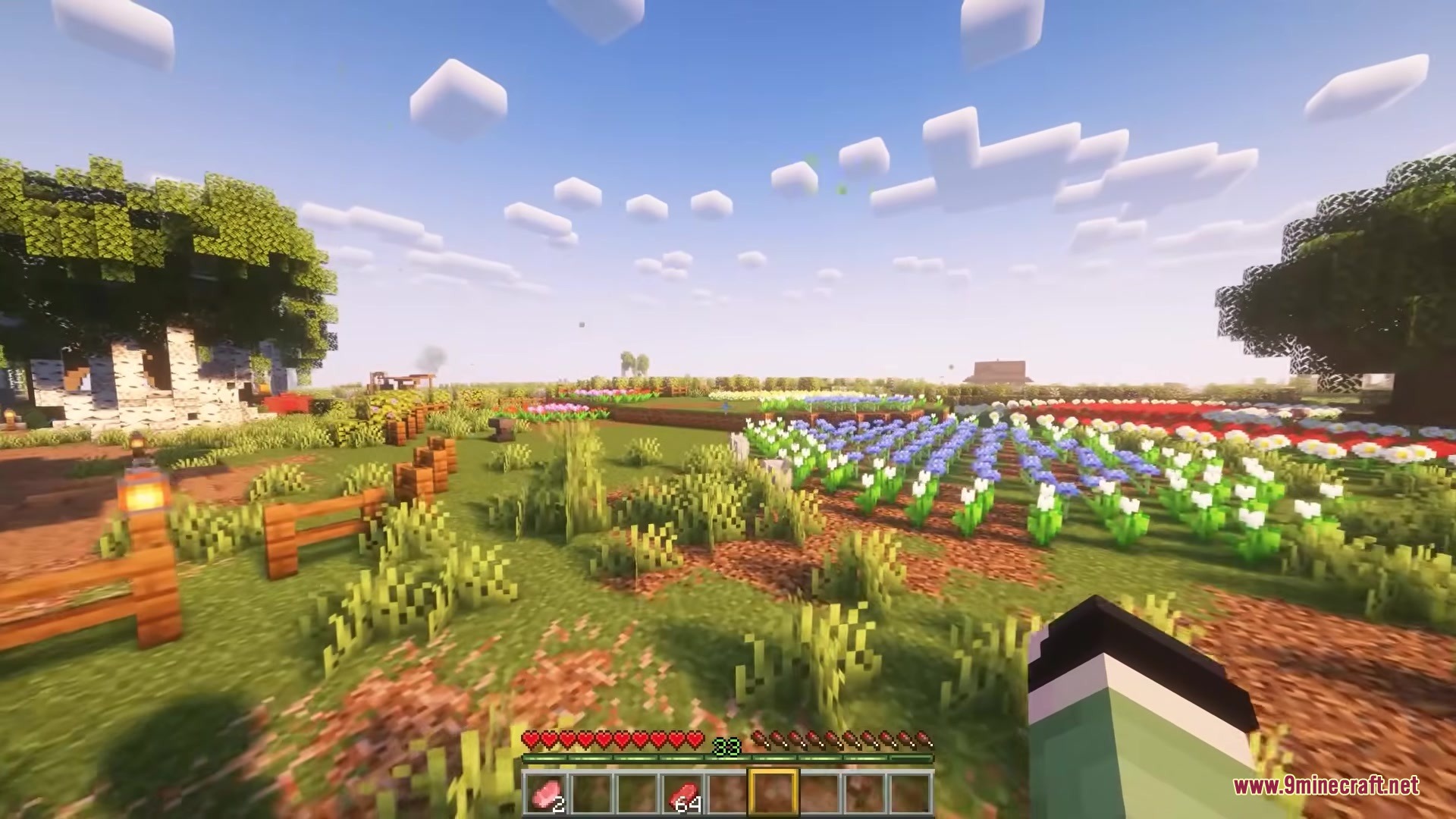 The player looks at a wolf in a large colorful flower garden