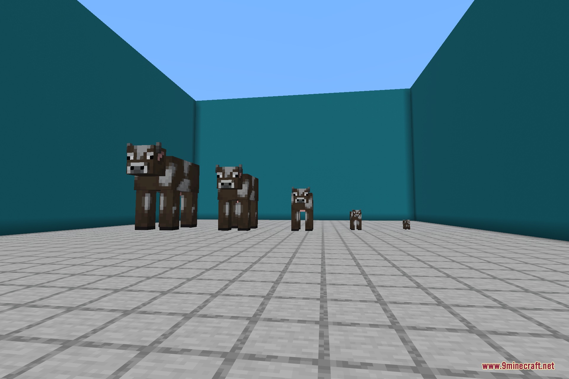 The same cow shown at a range of sizes from giant down to tiny with Pehkui 9minecraft Mod