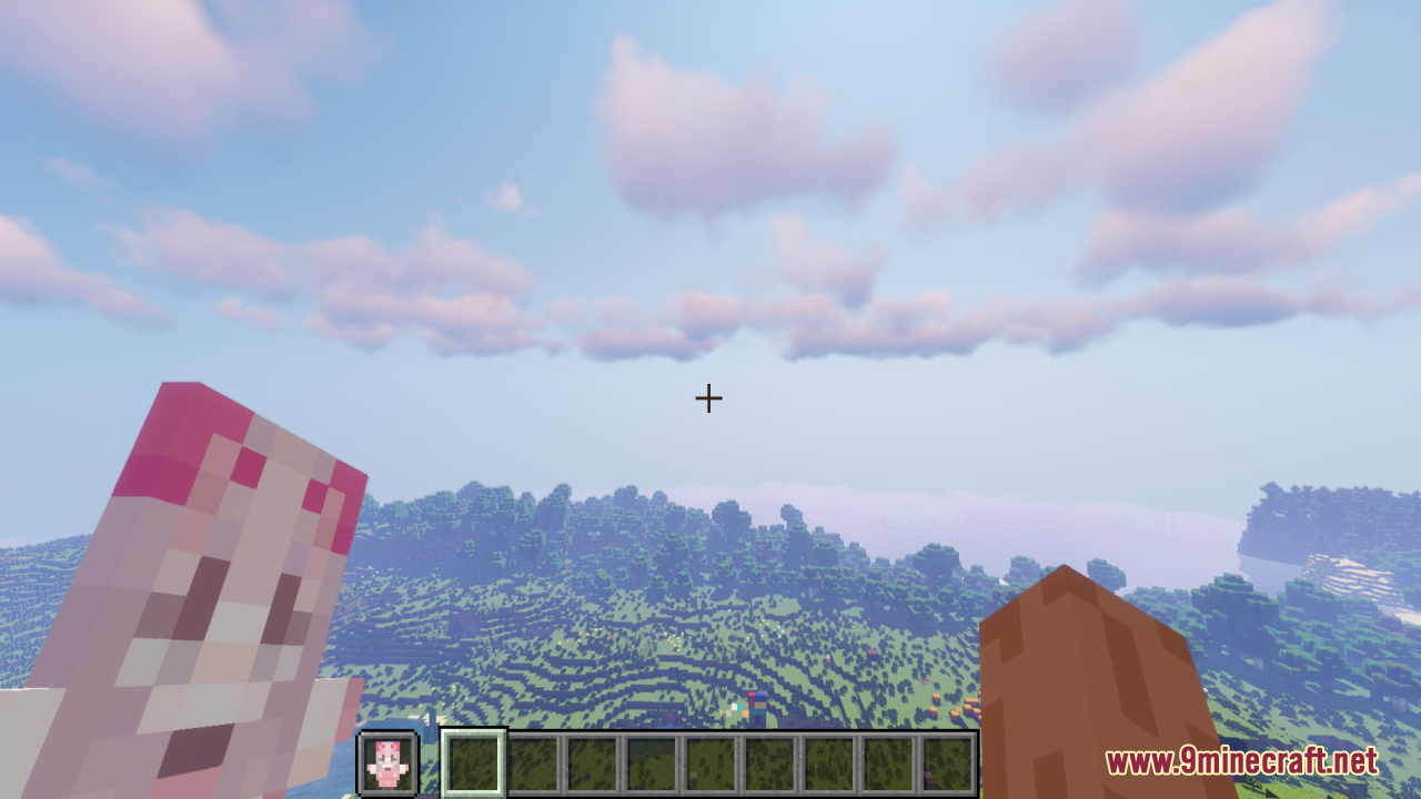 Player holding a pink character totem in their hand overlooking a vast forest biome