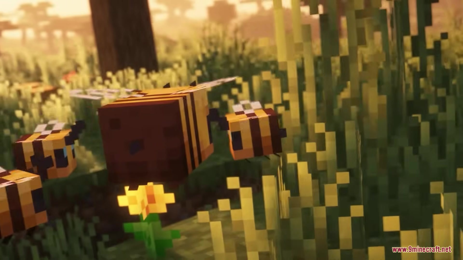 Pixel Consistency Resource Pack Screenshot 10 Minecraft bees flying around yellow flowers in a grassy field at sunset
