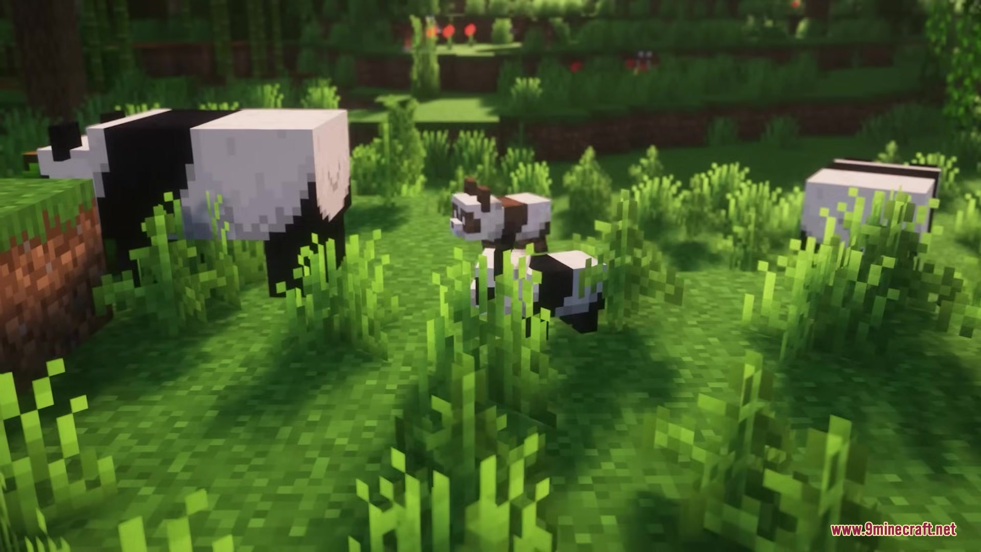 Pixel Consistency Resource Pack Screenshot 14 A baby panda and adult pandas roaming through a dense green forest