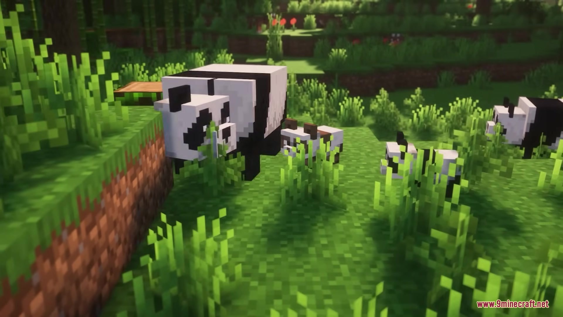 Pixel Consistency Resource Pack Screenshot 15 Adult and baby pandas wandering through a lush green Minecraft jungle biome