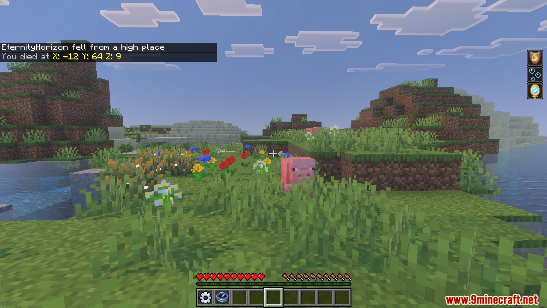 Player Dead Body Addon Screenshot 3 Minecraft chat message showing death coordinates near a pig in a grassy field