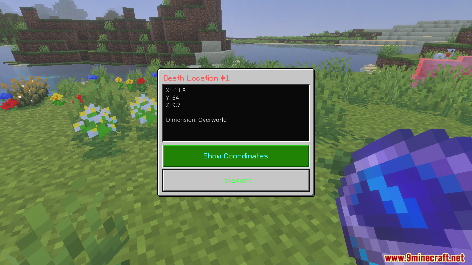 Player Dead Body Addon Screenshot 6 A screen showing exact death coordinates with options to teleport or show