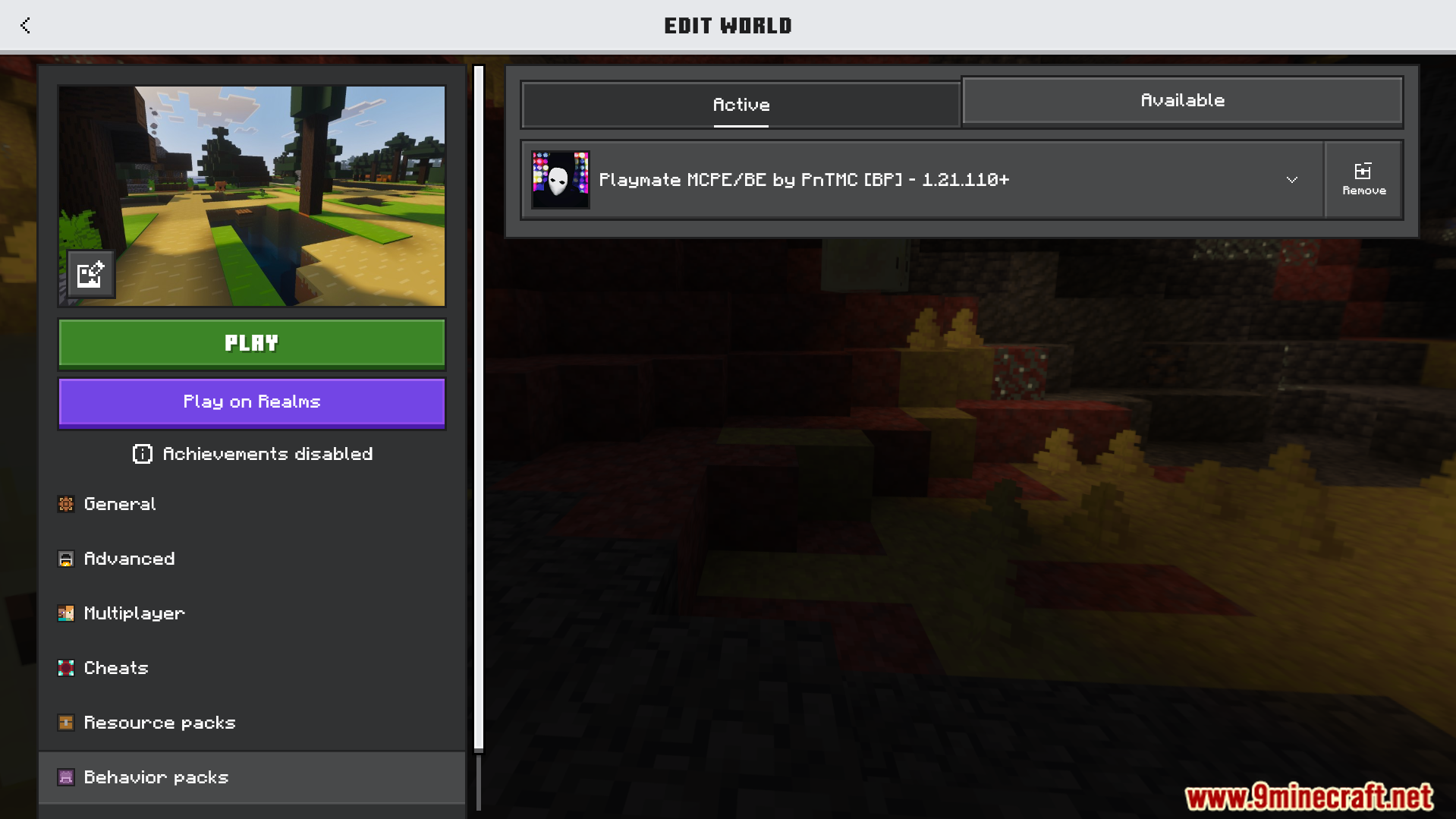 Playmate Addon Screenshot 1 Minecraft world settings menu showing the active Playmate behavior pack for the game