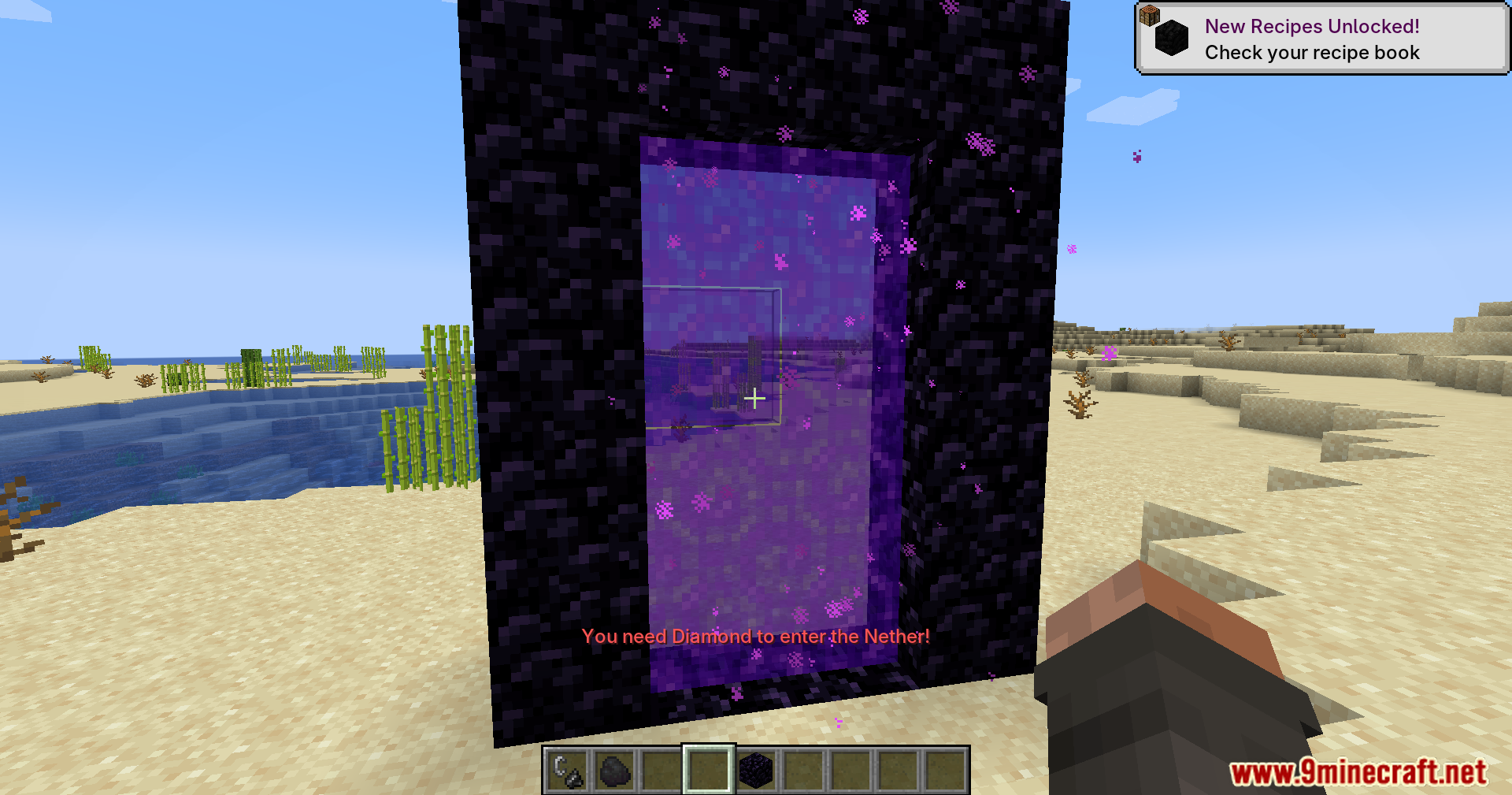 Portal Restrict Mod Screenshot 6 Portal Restrict Mod showing a message that a diamond is required for entry