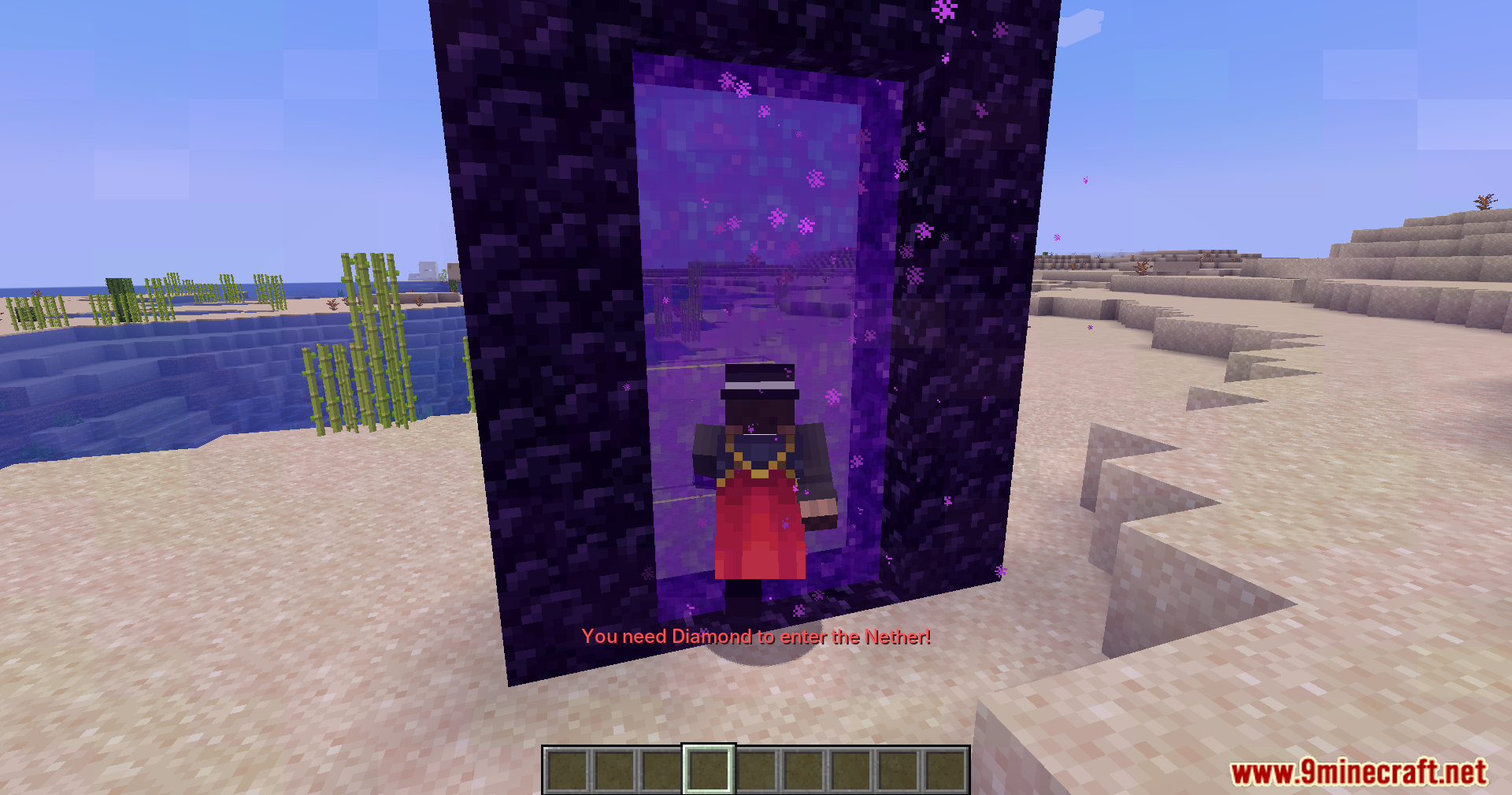 Portal Restrict Mod Screenshot 8 A player standing in a Nether portal with a diamond requirement message