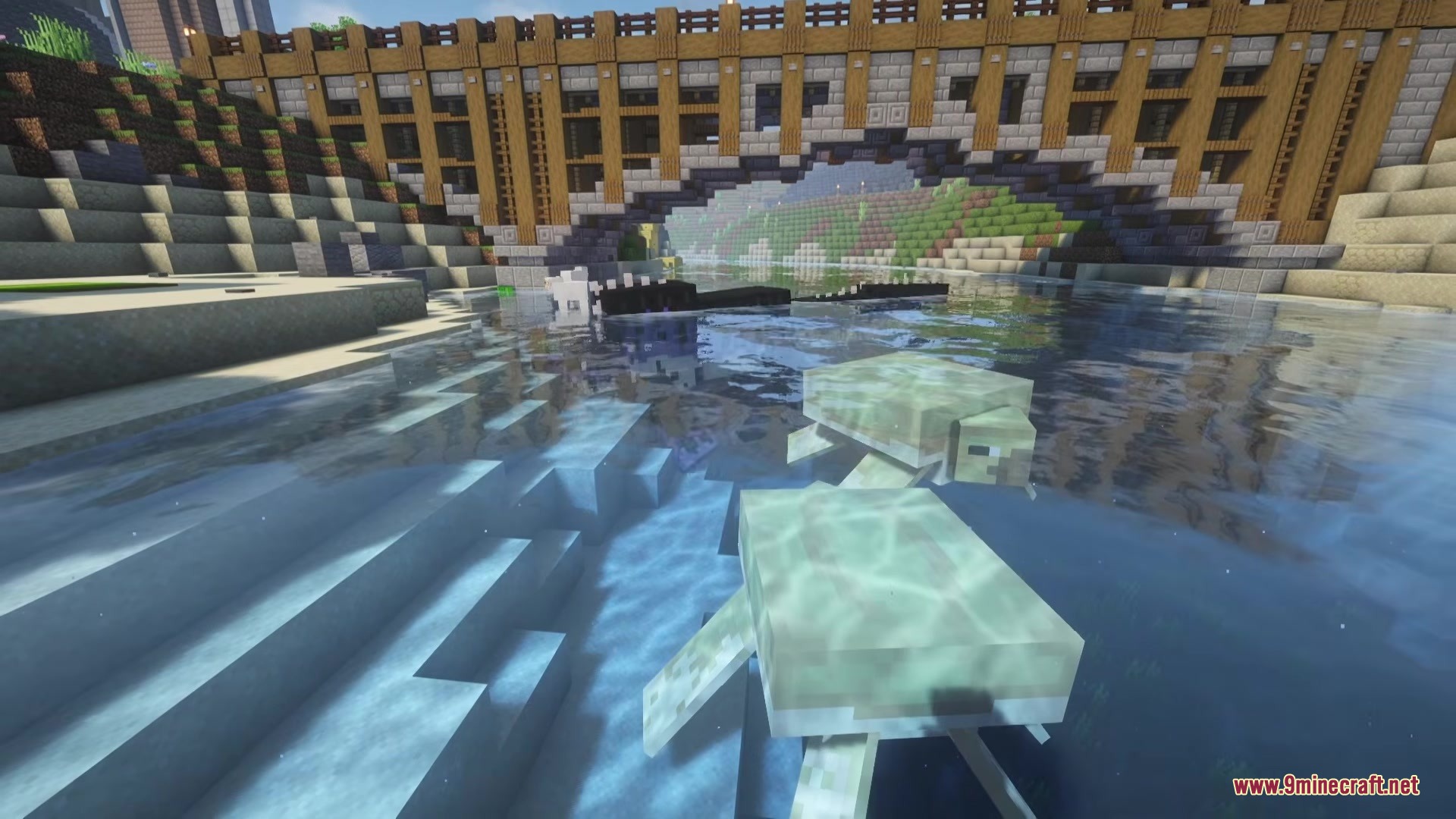 Two Archelon sea turtles swimming in a river under a large wooden bridge